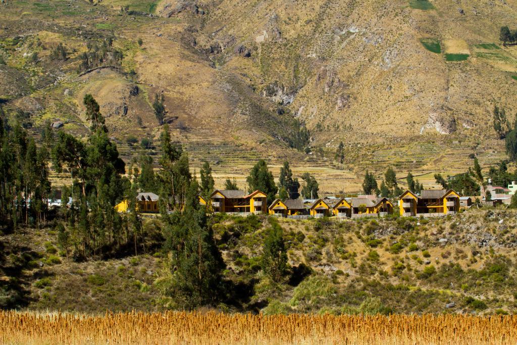 Eco Inn Colca Yanque Extérieur photo