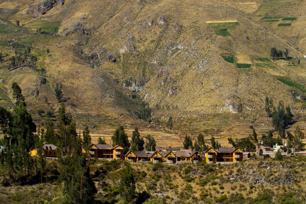 Eco Inn Colca Yanque Extérieur photo